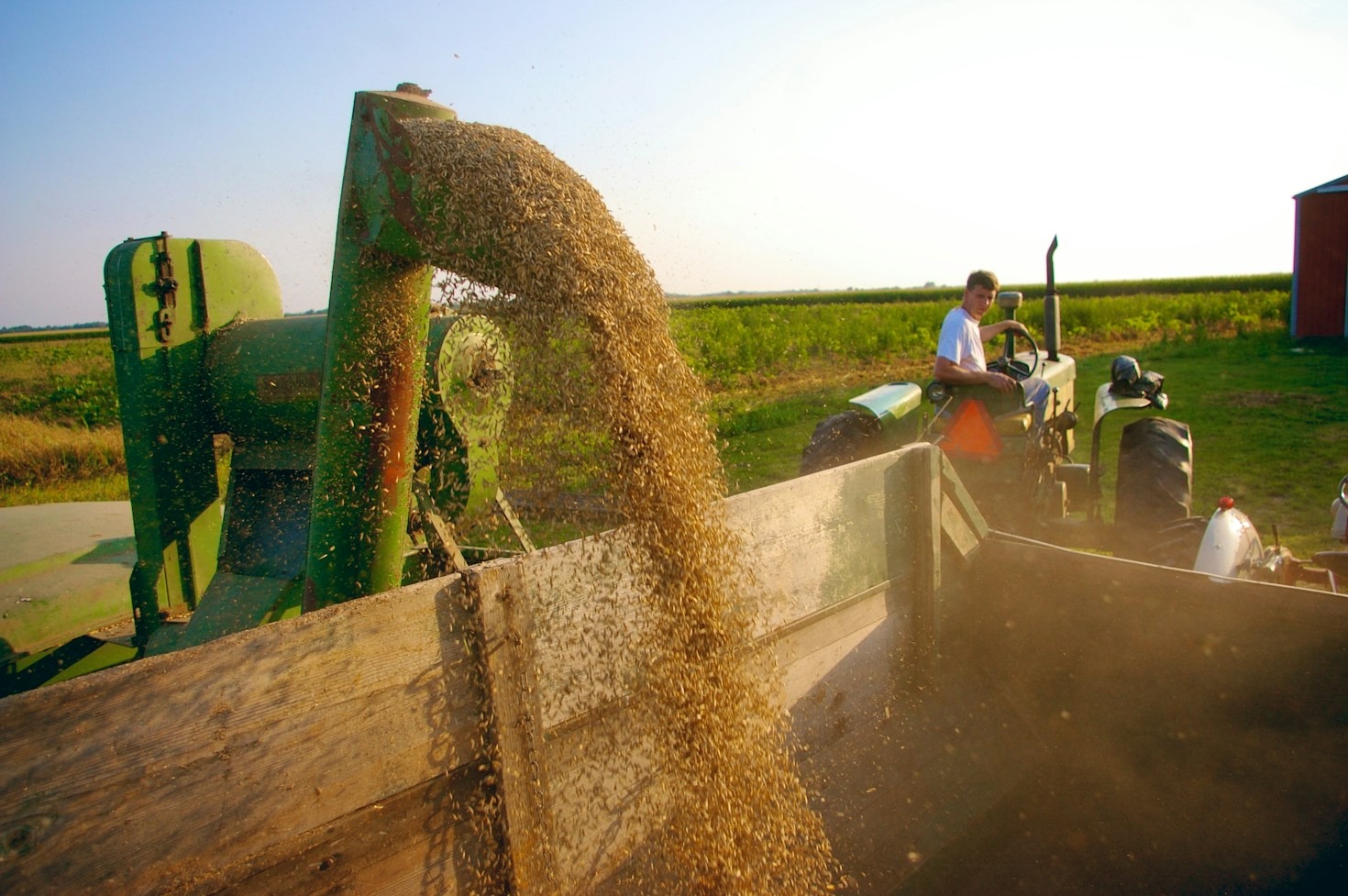 Essential Livestock Care Tips for Harsh Winter Months