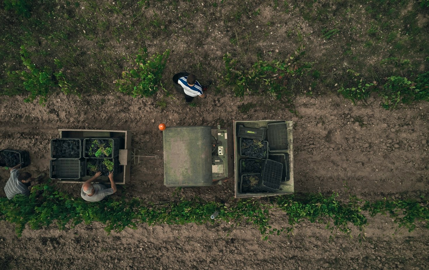 Modern Irrigation Solutions Every Smart Farmer Should Try