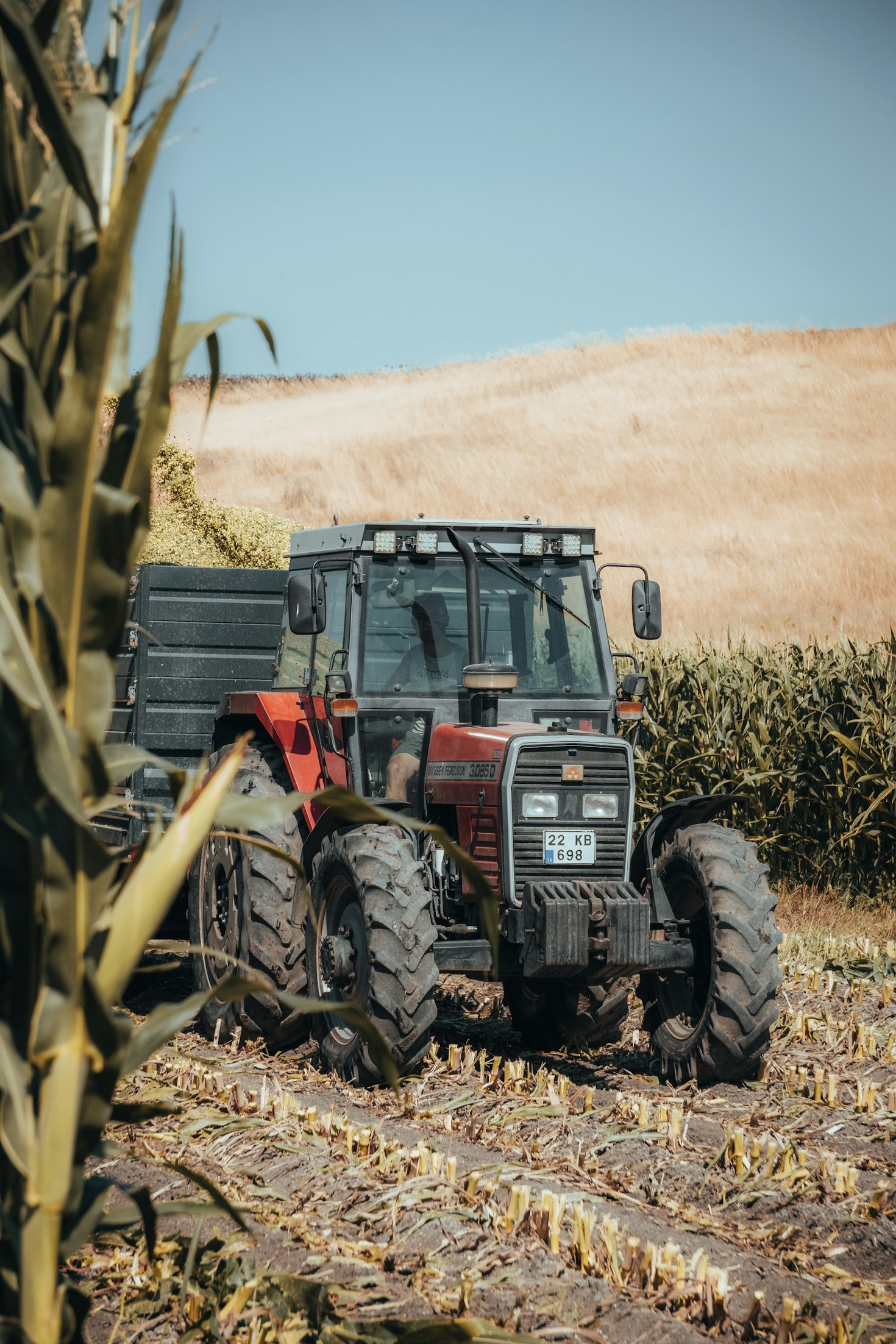 Navigating Pest Control Without Damaging Beneficial Insects
